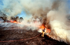 Field Fire